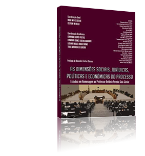 The Social Dimensions, Legal, Political and Economic Process